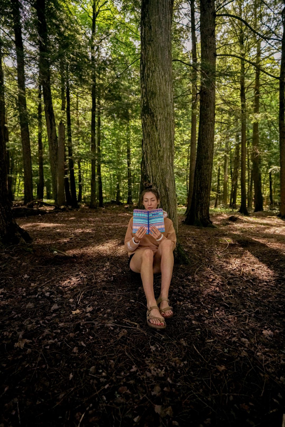 Notebook - Petit Montagnard