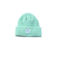 Adult Beanie - Green Apple